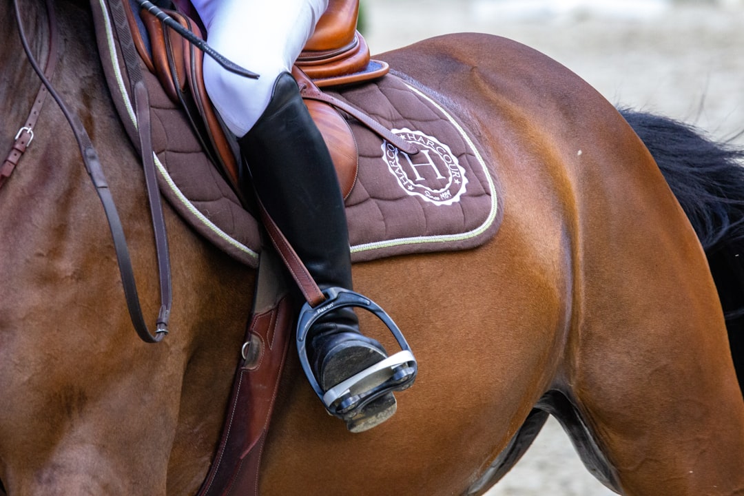 Photo horse racing